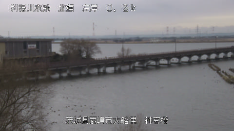 jingu2026010712_image