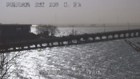 jingu2026011312_image