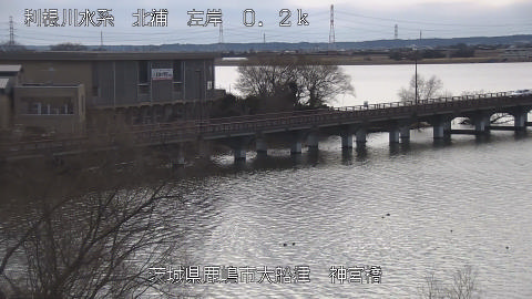 jingu2026012112_image