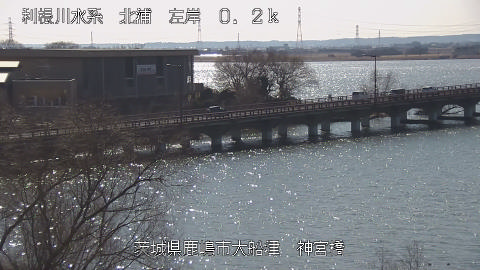 jingu2026012412_image