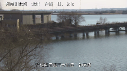 jingu2026020115_image