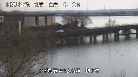 jingu2026020215_image