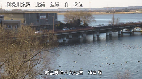 jingu2026020308_image