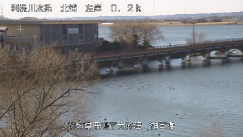 jingu2026020309_image