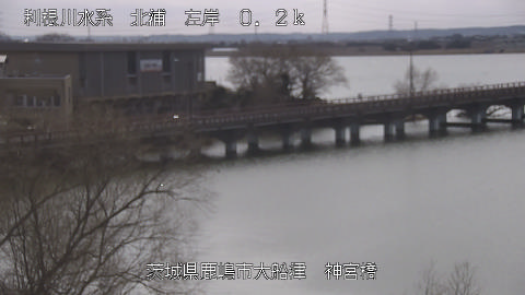 jingu2026022012_image