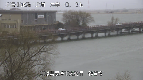 jingu2026022512_image