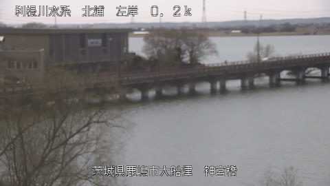 jingu2026030112_image