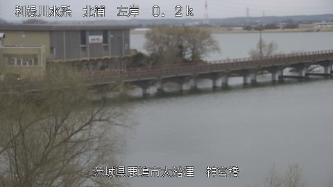 jingu2026030212_image