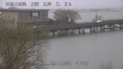 jingu2026030312_image