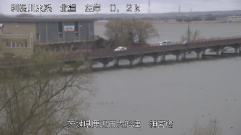 jingu2026030412_image