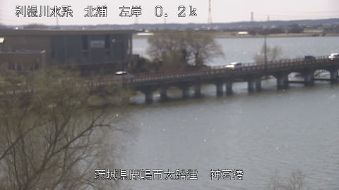 jingu2026030512_image