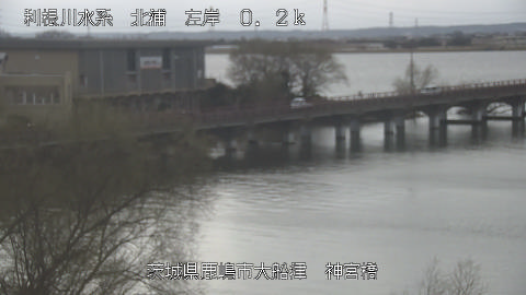 jingu2026030612_image