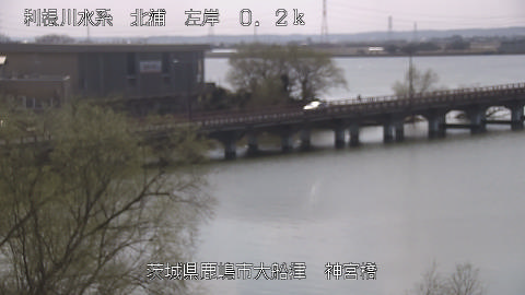 jingu2026030712_image