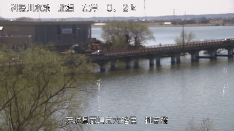 jingu2026030812_image