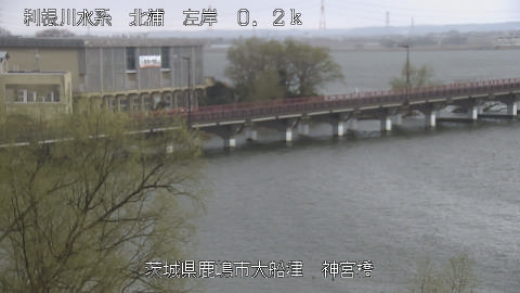 jingu2026031012_image