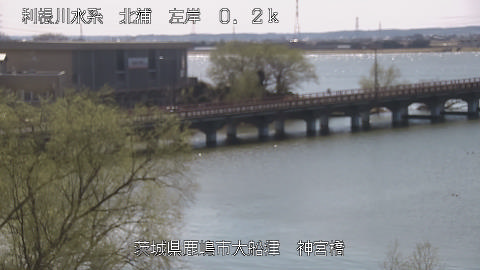 jingu2026031112_image