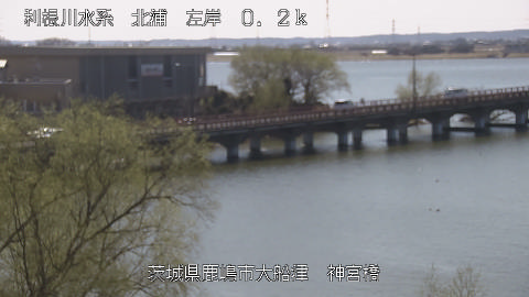 jingu2026031212_image