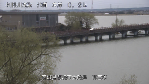 jingu2026031312_image