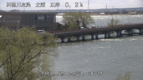 jingu2026031412_image