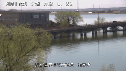 jingu2026031512_image