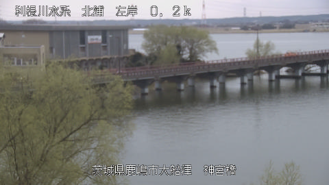 jingu2026031612_image