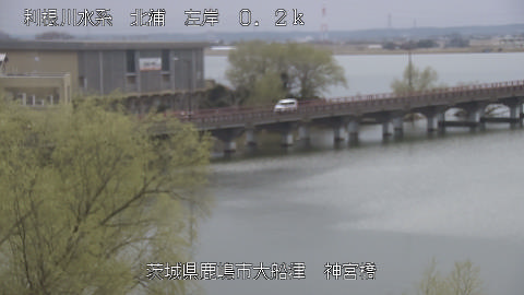 jingu2026031712_image