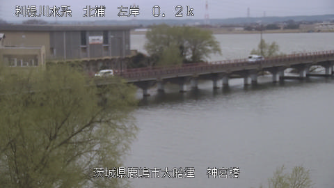 jingu2026031816_image