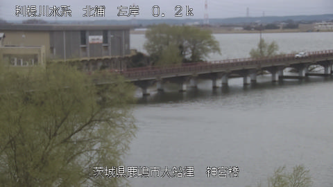 jingu2026031817_image