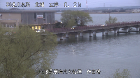 jingu2026031818_image