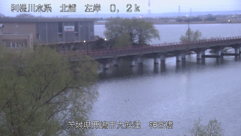 jingu2026031906_image