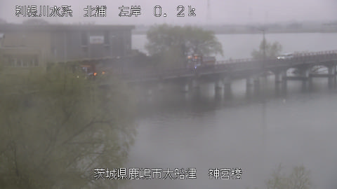 jingu2026031907_image