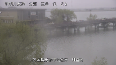 jingu2026031908_image