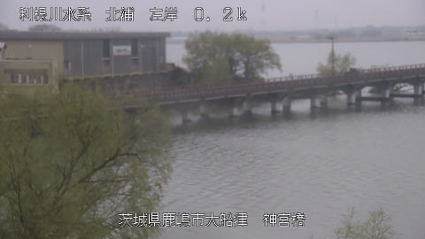 jingu2026031910_image