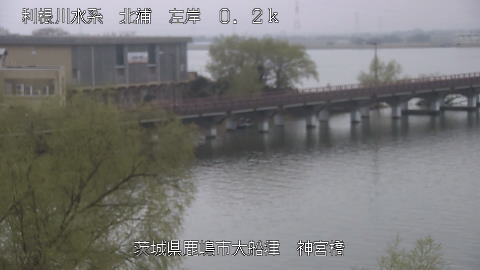 jingu2026031911_image