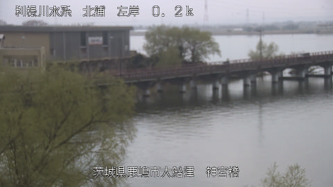 jingu2026031912_image