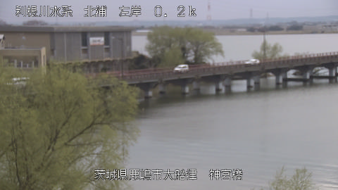 jingu2026031914_image