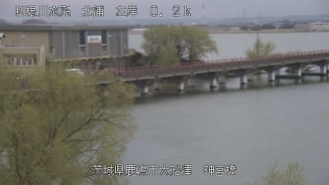 jingu2026031915_image