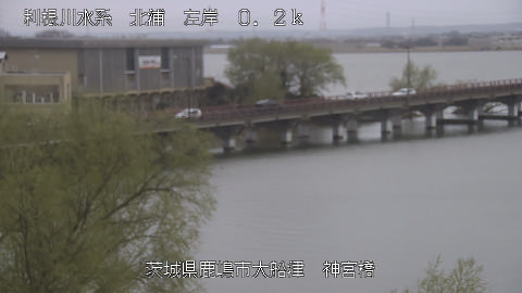 jingu2026031916_image