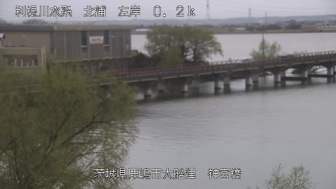 jingu2026031917_image