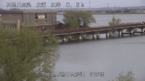 jingu2026031918_image