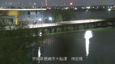 jingu2026031922_image