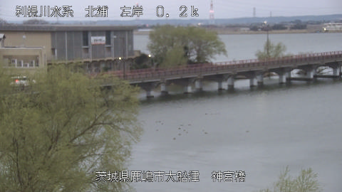 jingu2026032006_image