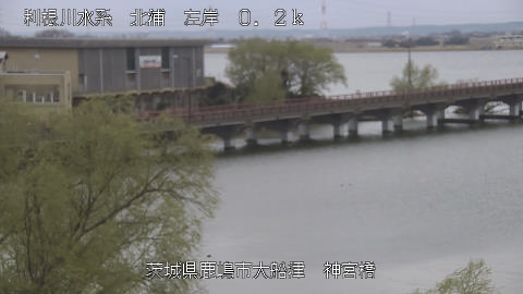 jingu2026032007_image