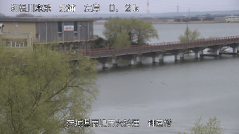 jingu2026032008_image