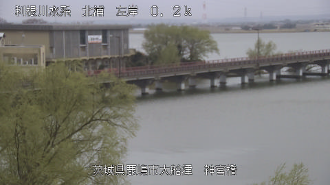 jingu2026032010_image