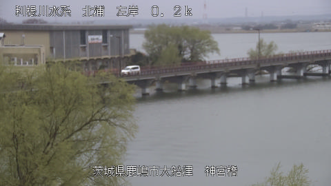 jingu2026032011_image