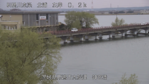 jingu2026032013_image