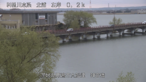 jingu2026032014_image