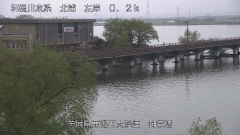 jingu2026040512_image