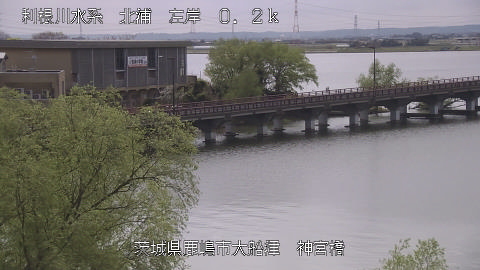 jingu2026040612_image